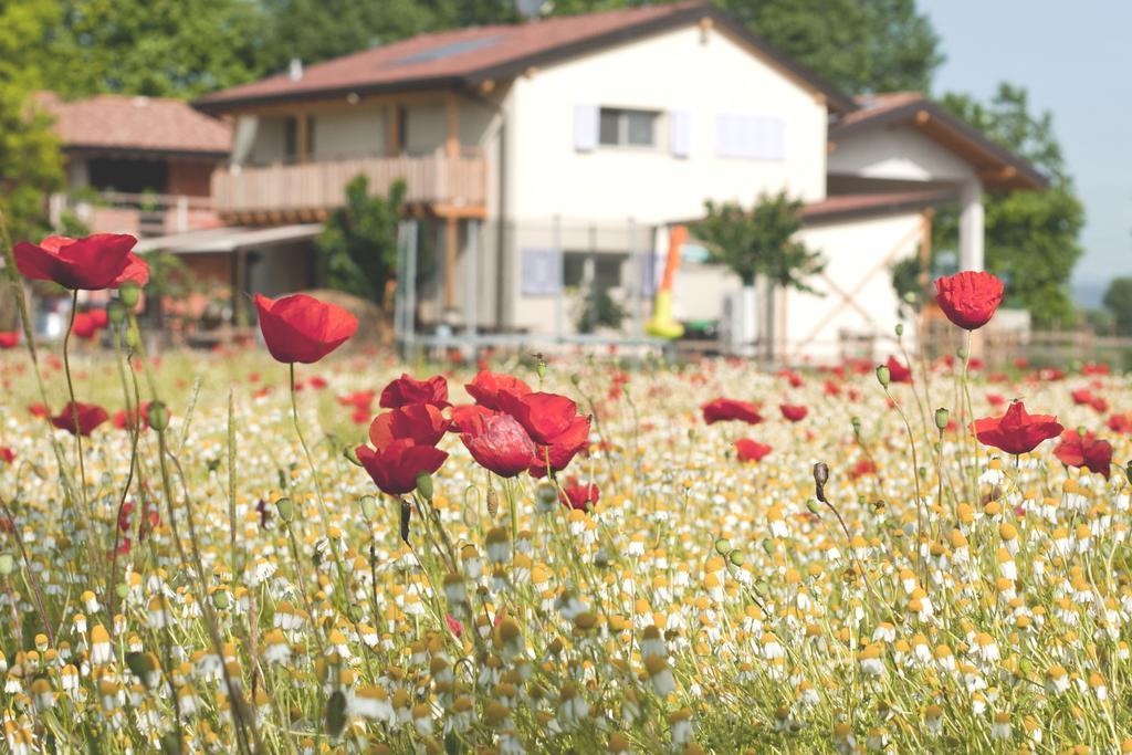Comeback Stezzano Kültér fotó